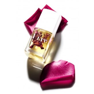  Kure Bazaar Organic Rose Infusion Oil- 10 ml