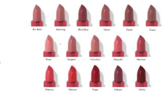 100% Pure pomegranate oil lipstick