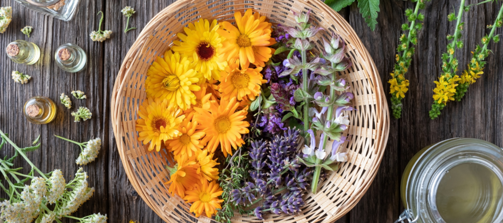 PLANTE OG ESSENSIELLE OLJER