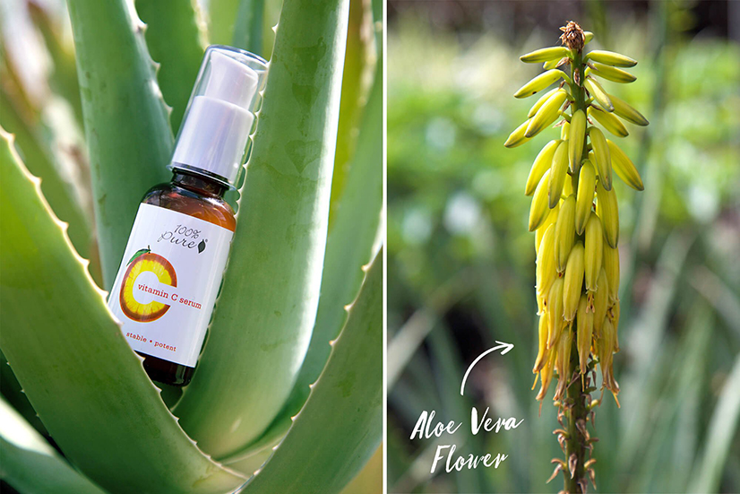 100% Pure Vitamin C + Aloe Vera