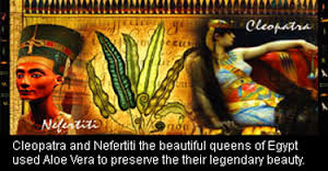 Cleopatra brukte Aloe Vera