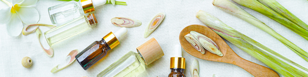 Siamese Therapy Collection