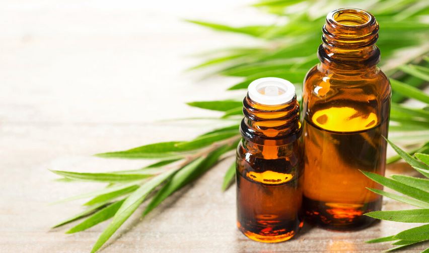 TEA TREE ESSENTIAL OIL