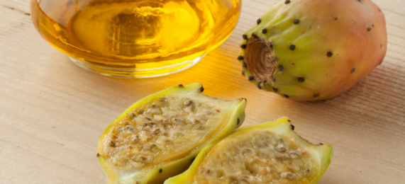 prickly Pear olje i skjønnhetspleie