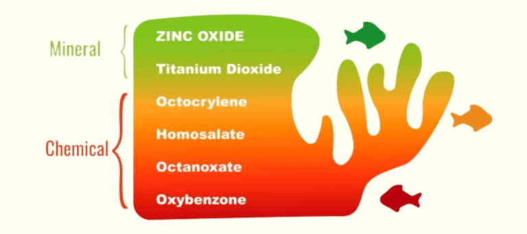 Fysiske og kjemiske solfiltre, bildet viser hvor skadelige de er og hvem som er mest skadelige for livet i havet.