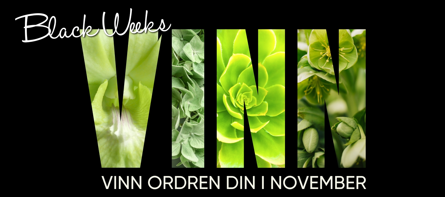 Vinn ordren din i november på karma.no