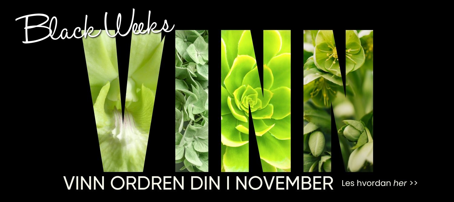 Vinn ordren din i november på karma.no