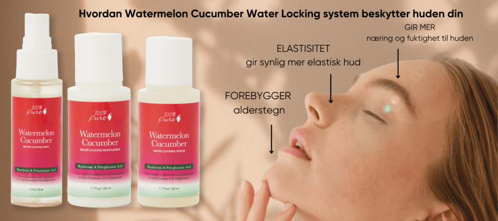 Watermelon water locking system