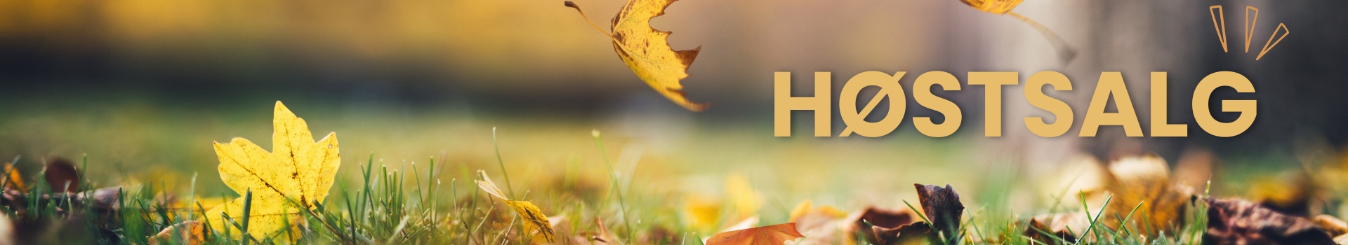 Høstsalg