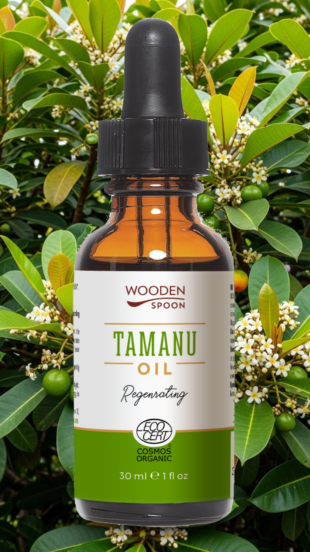 Tamanu oljens egenskaper er mange, reparerende og lindrende.