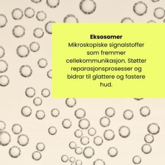 HEJ Organic Skin Longevity Firming Retinal Serum – 30 ml