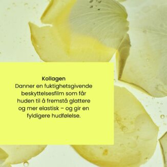 HEJ ORGANIC Skin Longevity Lifting Face Cream with AHA– 50 ml